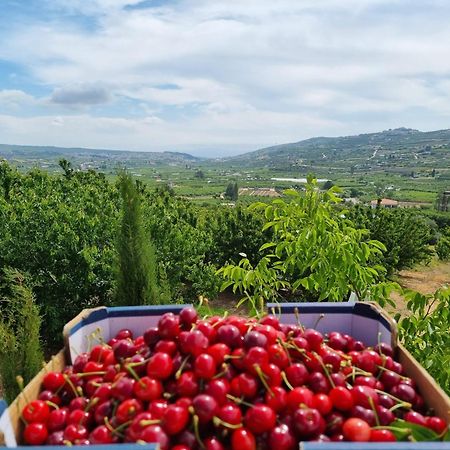Oriental Nature Majdal Shams Dış mekan fotoğraf