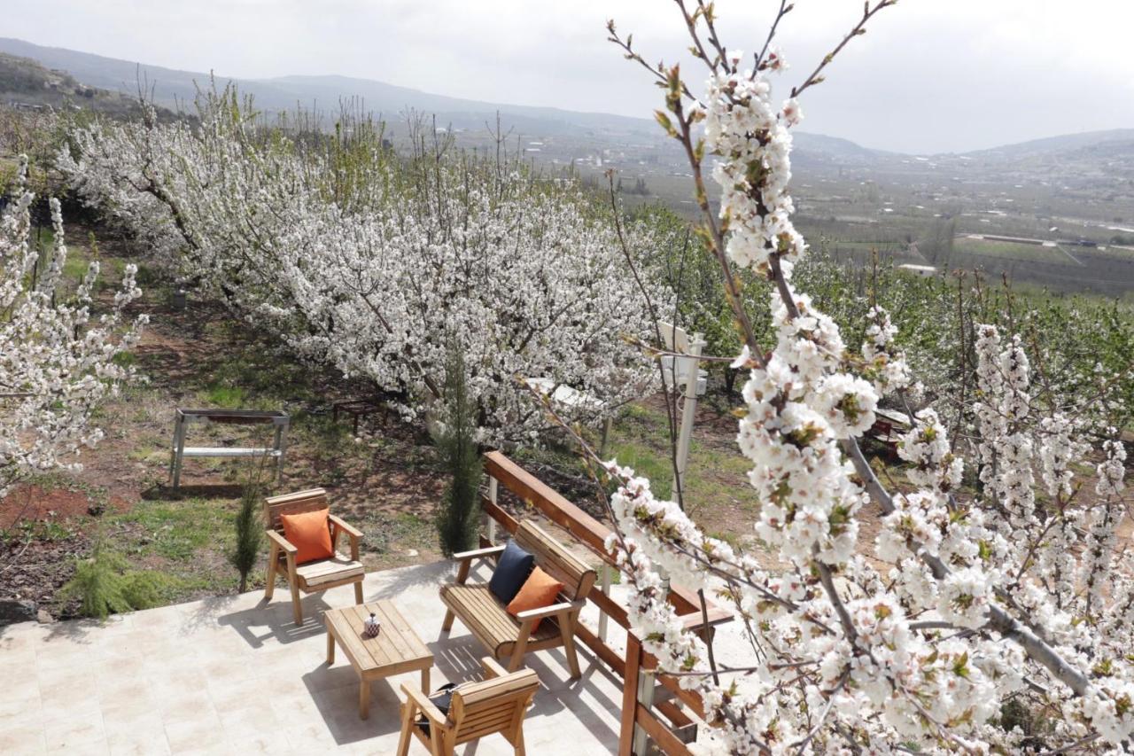 Oriental Nature Majdal Shams Dış mekan fotoğraf