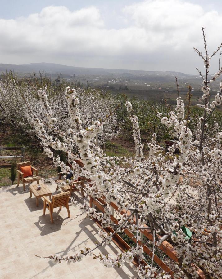 Oriental Nature Majdal Shams Dış mekan fotoğraf