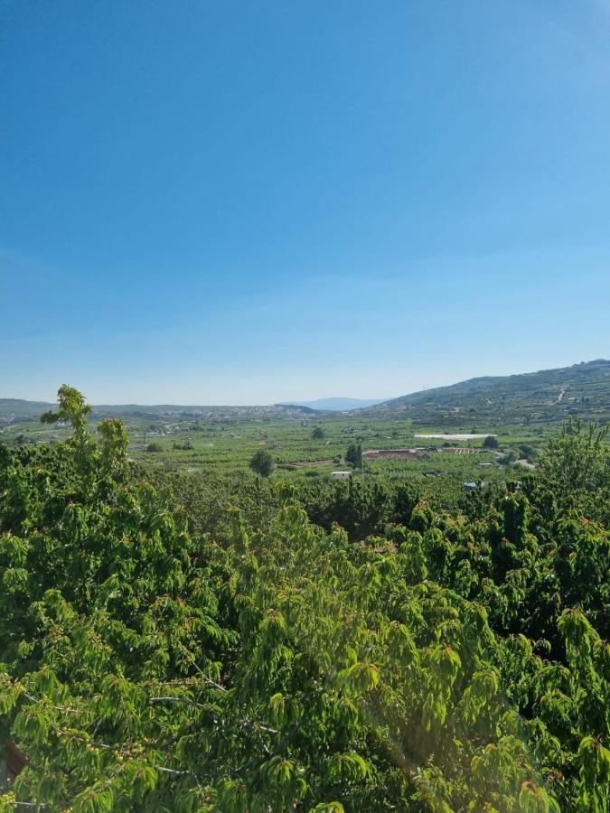 Oriental Nature Majdal Shams Dış mekan fotoğraf