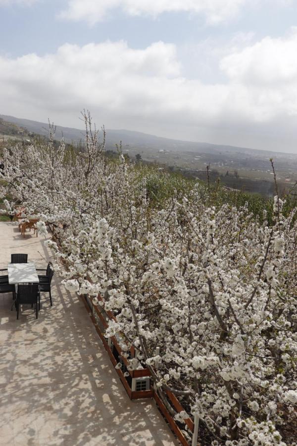 Oriental Nature Majdal Shams Dış mekan fotoğraf