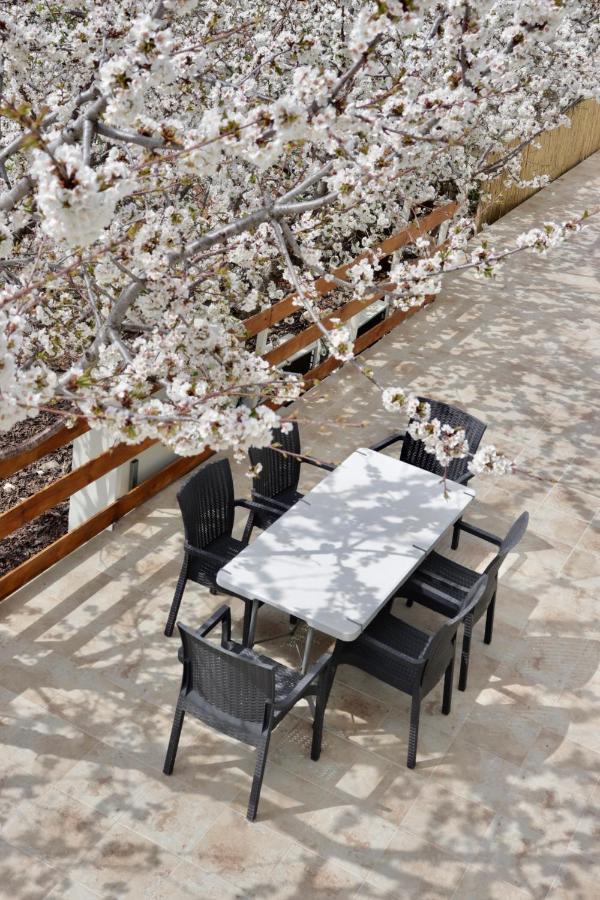 Oriental Nature Majdal Shams Dış mekan fotoğraf